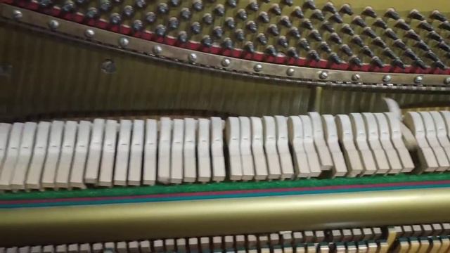 Красивая музыка на пианино Legnica смотреть онлайн