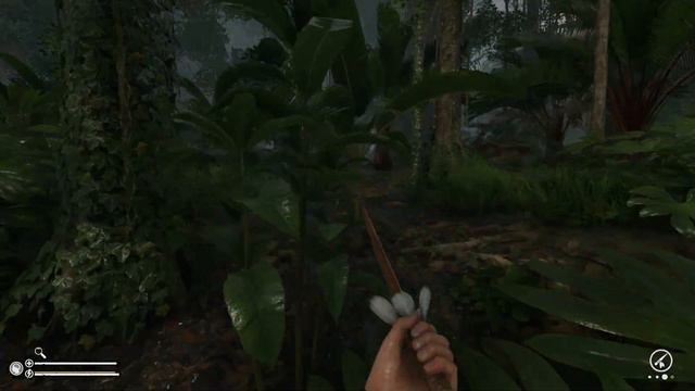 Green Hell - Spirits of Amazonia Wounded Tribals Locations! Survival Tips & Tricks Update Gameplay смотреть онлайн