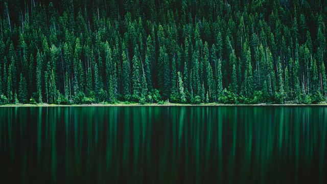 Виктор Петлюра - Лучшие песни