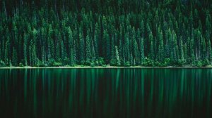 Виктор Петлюра - Лучшие песни