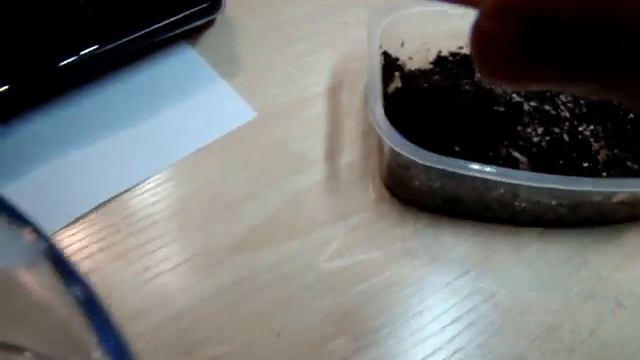 Новые экзотические животные ! смотреть онлайн