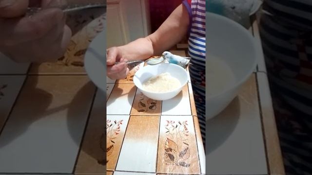 Попугай кушает суп из тарелки