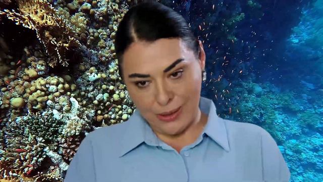 Gelin 6. Bölüm Fragmanı | Gelin Episode 6. Promo L Kalp Yarım!
