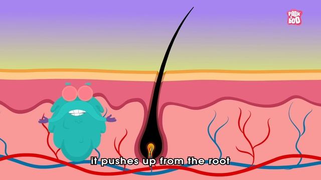 How Do Your Body Parts Work? | Non Stop Episodes | The Dr. Binocs Show | PEEKABOO KIDZ