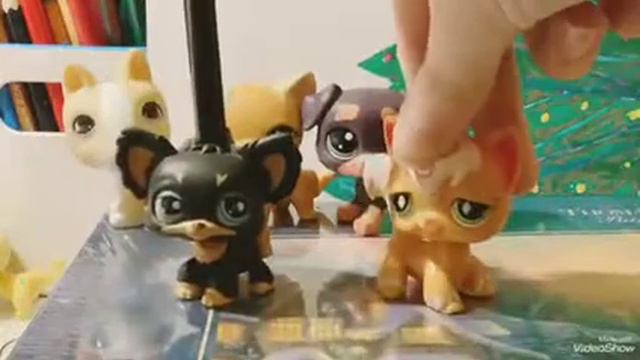 Какие Lps будут участвовать в моих видео смотреть онлайн