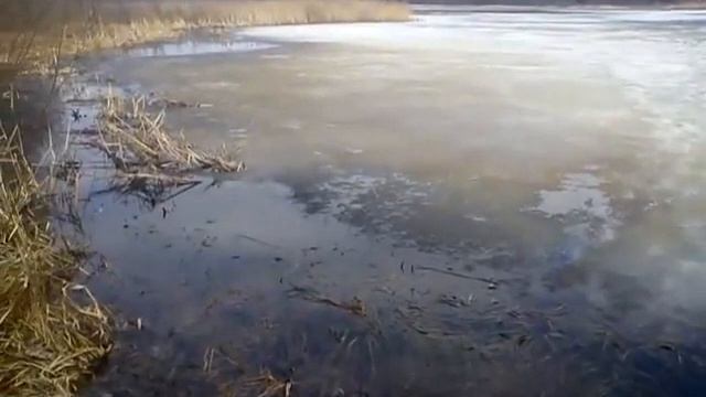 Природа , база отдыха "Мечта" смотреть онлайн