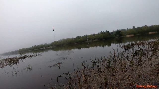 РЫБАЛКА НА РЕКЕ ВОЛХОВ.ЛОВЛЯ СОПЫ(СИНЦА) НА ПОПЛАВОЧНУЮ УДОЧКУ. смотреть онлайн