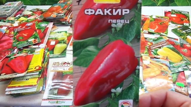 КАКОЙ ПЕРЕЦ ВЫБРАТЬ? СКОРОСПЕЛЫЙ СОРТ ФАКИР. Обзор Ольги Черновой. смотреть онлайн