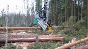 Стоит ли покупать ? харвестер Амкодор 2561 новый в работе  Кесла 27RH