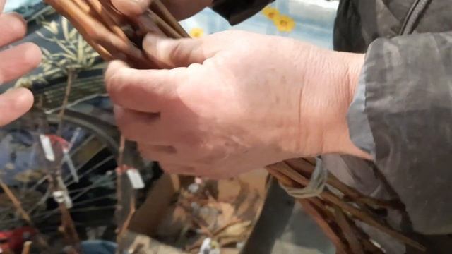 Продажа черенков и саженцев Винограда 2 октября 2022г смотреть онлайн