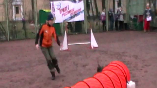 Д-Open 0/1 Small - Пуртова Анна и цвергпинчер Грейн смотреть онлайн