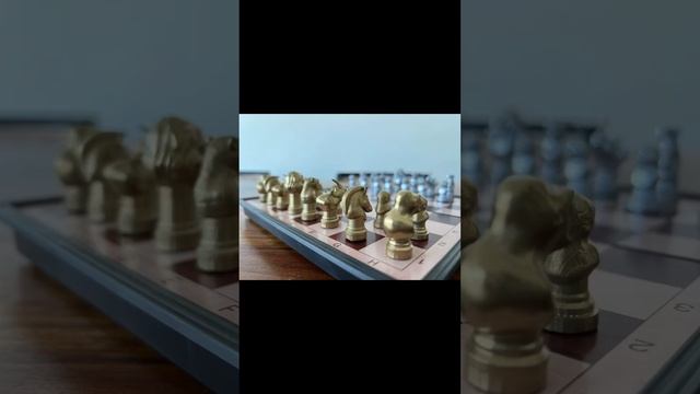 3D Printed Animal Chess Set смотреть онлайн