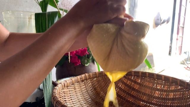 #5 Harvest corn, cook corn milk and Vietnamese corn pudding | CHÈ BẮP SỮA BẮP ngon смотреть онлайн