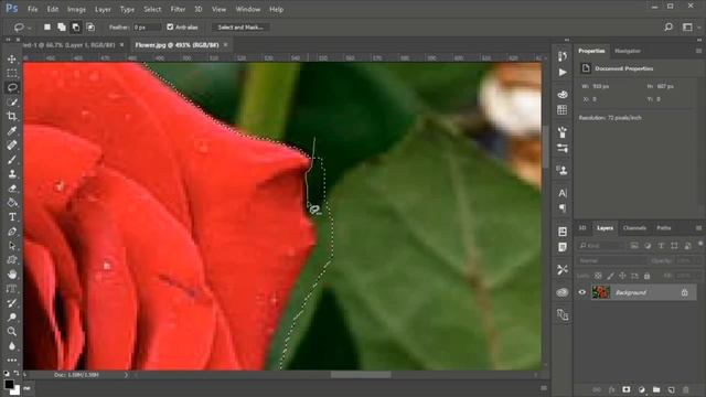 Lasso Tools in Adobe Photoshop | Adobe Photoshop Tutorials Basic Part 03 смотреть онлайн