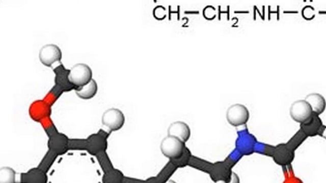 Сон продлевает жизнь
