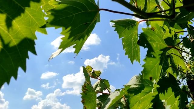 21 фраза, которые умные люди никогда не говорят