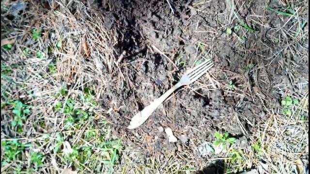 Коп в лесу 17.04.2014 смотреть онлайн