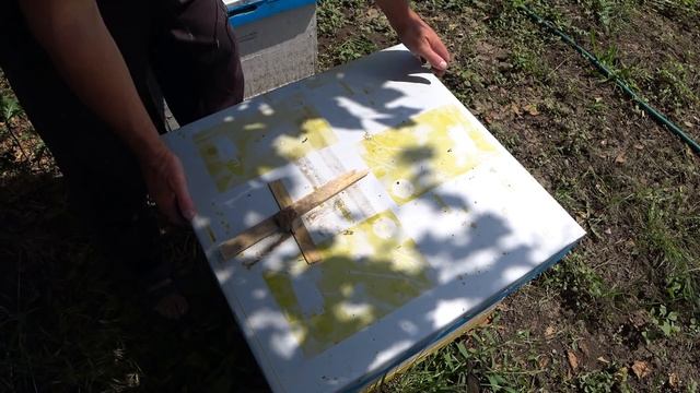 Что делать, если не находите матку и нет расплода. Для начинающих пчеловодов. смотреть онлайн