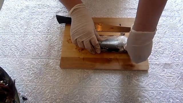 Цирковые Шоу с Трюками и Фокусами