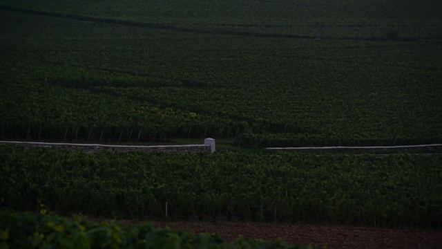 The SMALLEST GRAND CRU in Burgundy. Louis-Michel Liger-Belair on La Romanée смотреть онлайн