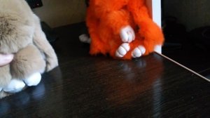 3 моих пушистых зайчиков-БРЕЛКИ!Как отличить подделку от настоящего зайки?ЛЕГКО!