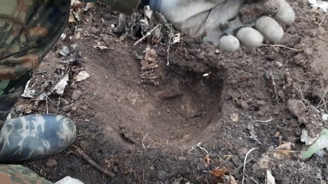 Попали в аномальную зону. Разведка местности в лесном массиве продолжается смотреть онлайн
