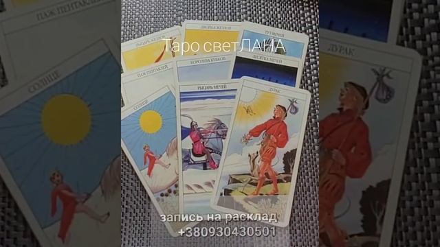 УШАМ СВОИМ НЕ ПОВЕРИШЬ!Что у него РЕАЛЬНО на уме ?#shorts смотреть онлайн