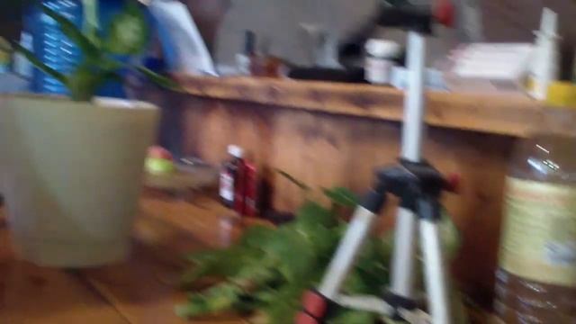 Диффенбахия пересадка 10 штук в одном горшке смотреть онлайн