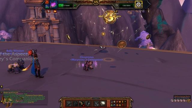 [WoW Dragonflight] Tyrhold - Pet Battle - Right Twice a Day - Malfunctioning Matrix смотреть онлайн