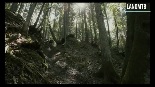 ?Why we love downhill 2021 /BEST MIX /downhill mountain biking #9 смотреть онлайн
