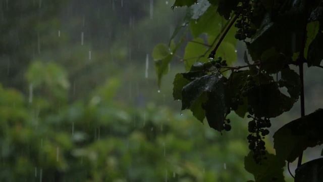 Corporate Event Background Music