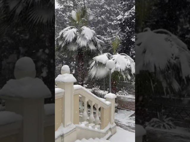 Сочи сегодня. Город засыпает снегом. 18.03.2022 смотреть онлайн