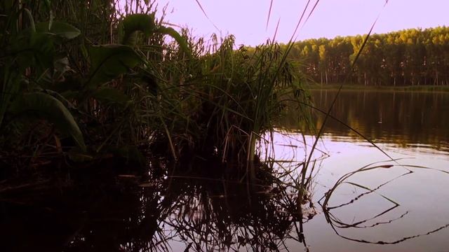 Sony HDR-XR350E смотреть онлайн