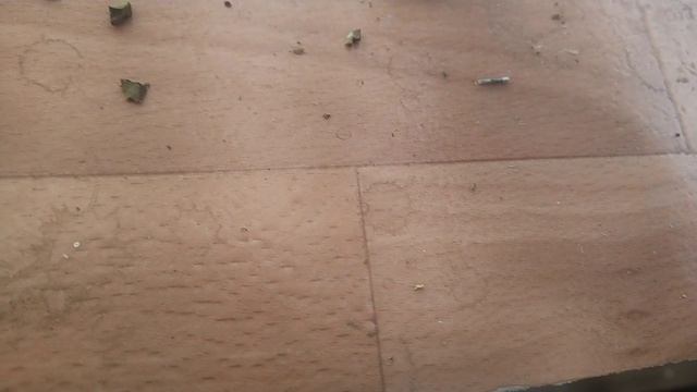 Приемные и не приемные реле РЭС9