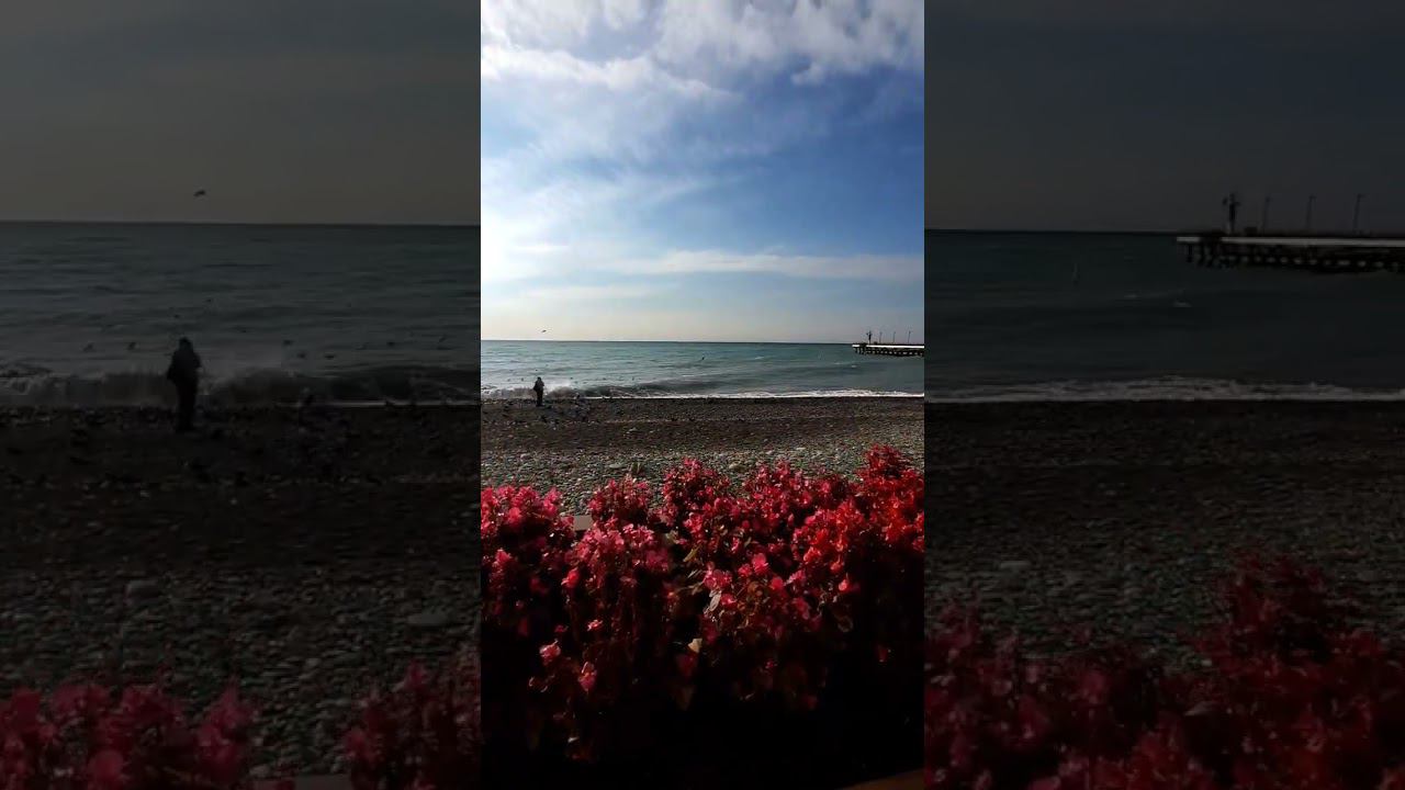 13.12.22 г. Погода Лазаревское #shorts #погодалазаревское #лазаревское2022 #погодасочи #сочи смотреть онлайн