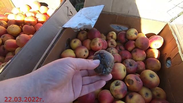 Кубань.Весна. Достаем наши запасы!// Kuban.Spring. Getting our supplies out! смотреть онлайн