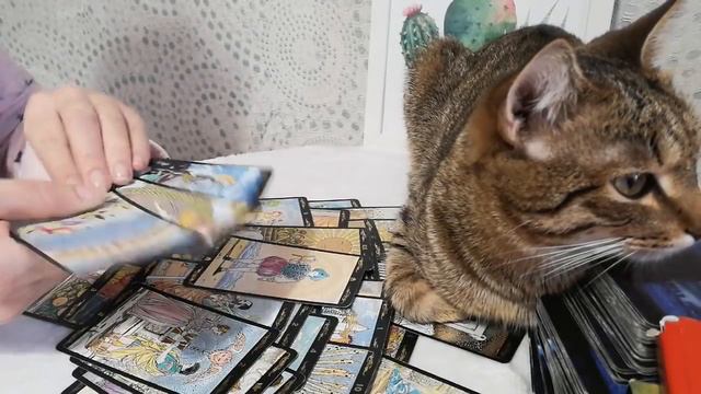 #соперница#треугольник ЗАЧЕМ ОН НУЖЕН СОПЕРНИЦЕ? КАК СОПЕРНИЦА С БЫВШИМ ПОЖИВАЮТ?