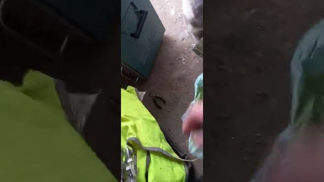 СКОЛЬКО ЗОЛОТА В КАЛЬКУЛЯТОРЕ!!??? смотреть онлайн