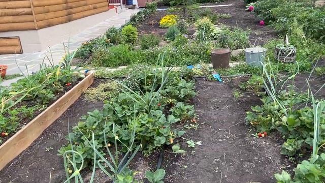 Мебель собрали, полив сделали, камень купили! Ай да молодцы! смотреть онлайн