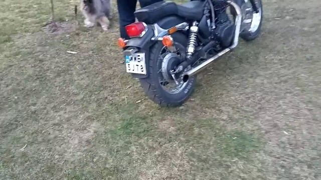 Suzuki Savage LS 650 Sprzedaż смотреть онлайн
