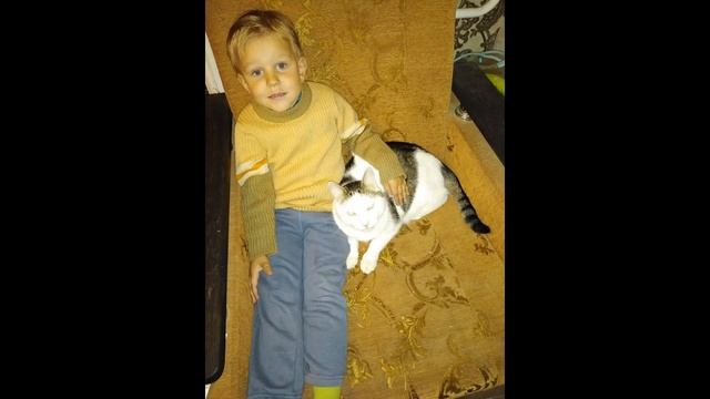 Всемирный день защиты животных смотреть онлайн