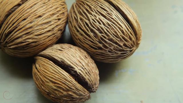 New Star Beach Resort Koh Samui смотреть онлайн