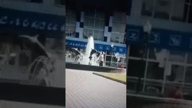 Суровый Воскресенск. Когда не пустили в бассейн без маски... смотреть онлайн