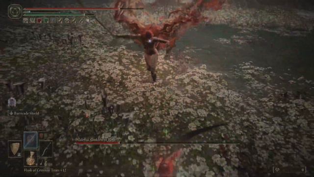 ELDEN RING - Malenia Fight