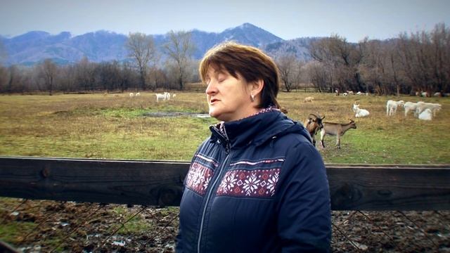 Еда Рядом - Алтайский камамбер и другие козьи сыры смотреть онлайн