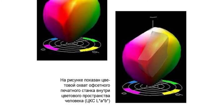 sRGB AdobeRGB цветовое пространство, занятие в Kondrashin PHOTOSCHOOL смотреть онлайн