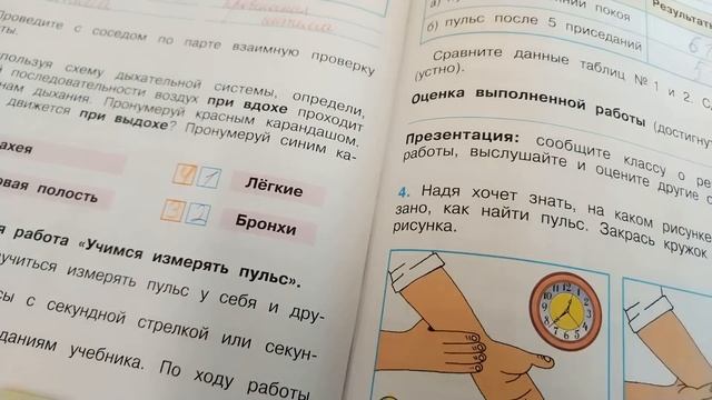 Проверяю рабочие тетради по окружающему миру - 3 класс #5 смотреть онлайн