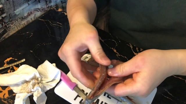 Селедочка. Как почистить Селедку. смотреть онлайн