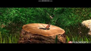 ATI Radeon 8500 - Nature