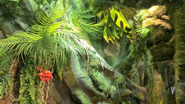 Даугавпилс. Латгальский зоопарк. смотреть онлайн